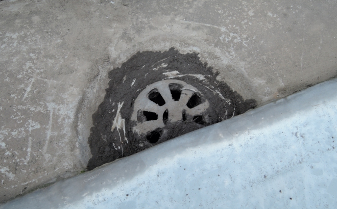 dscn2950.jpg